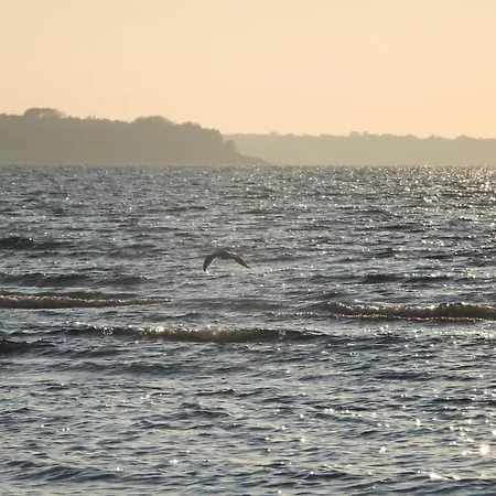 8 Person In Сasa de vacaciones *